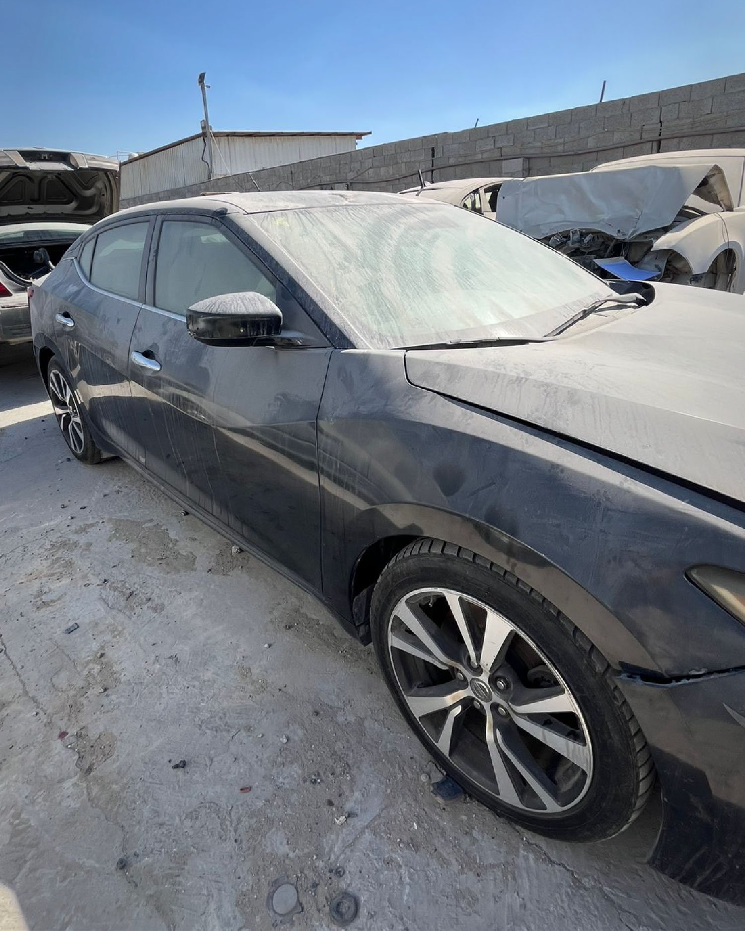 مساعد خلفي (يمين)