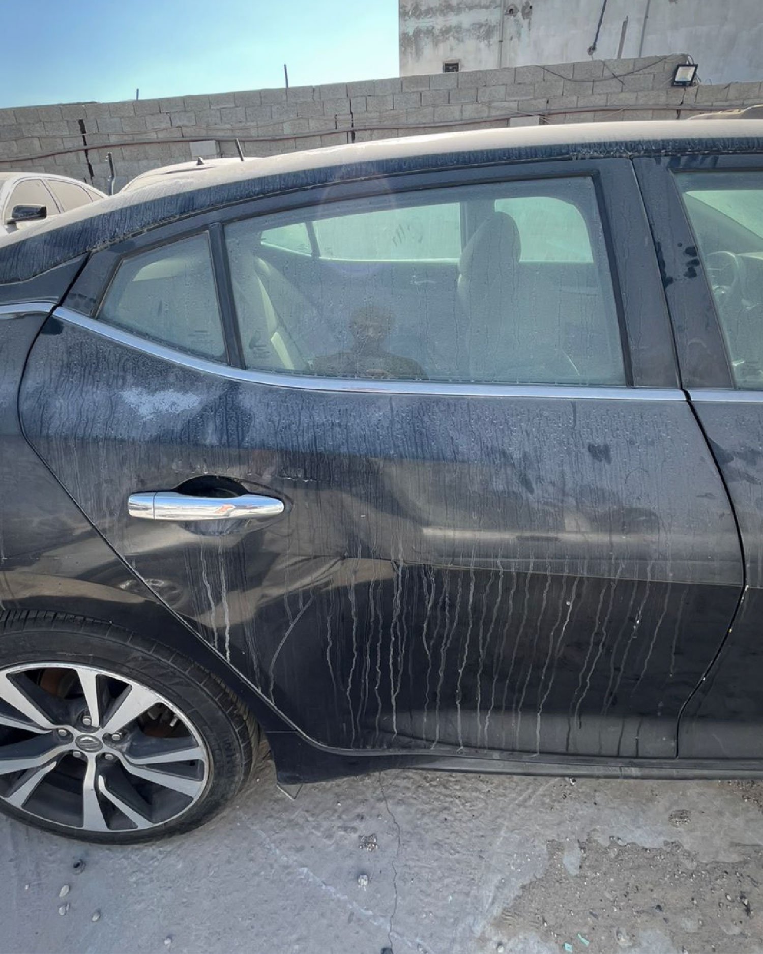 باب خلفي (يمين)