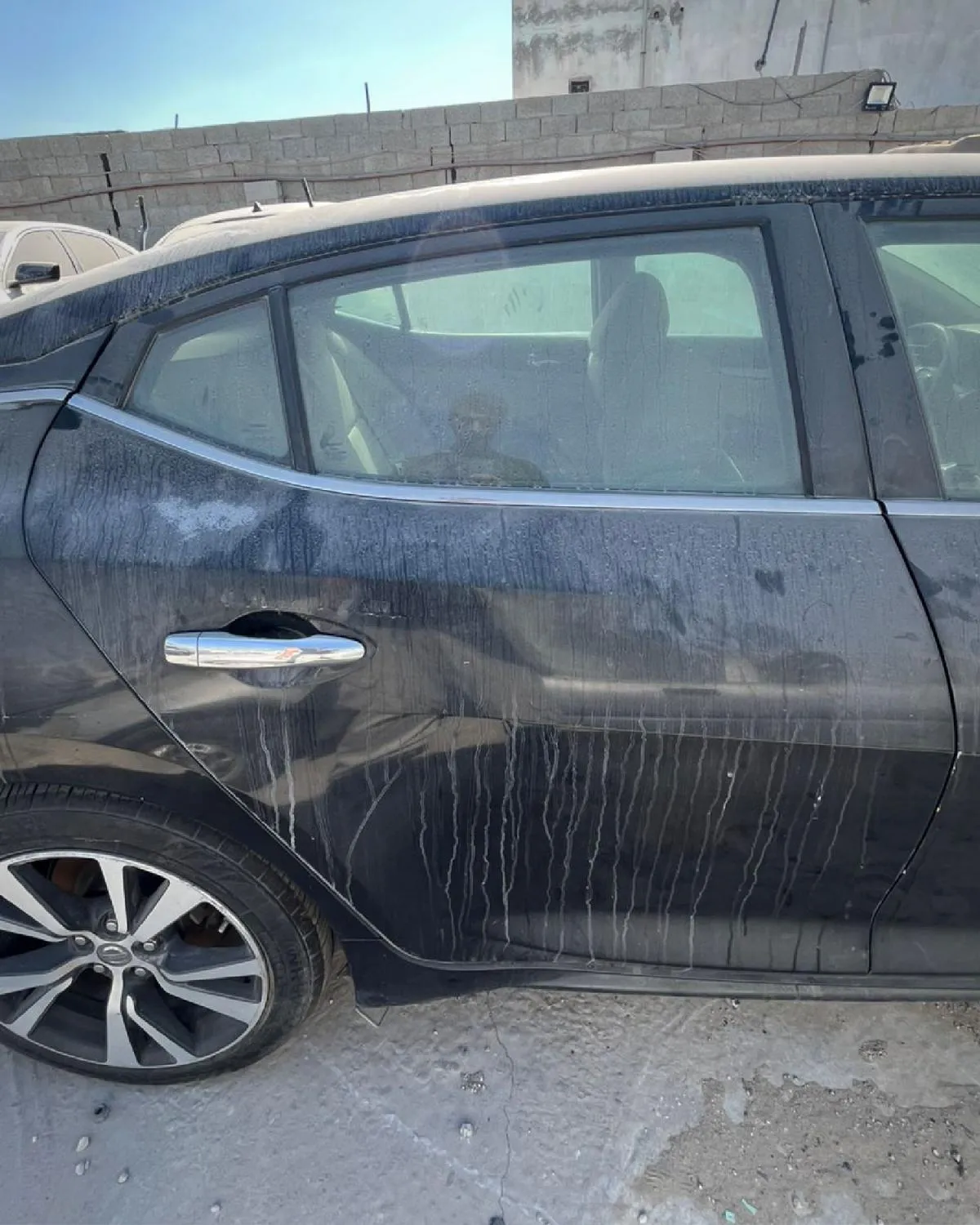 باب خلفي (يمين)